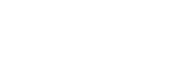 Inversionista del Futuro